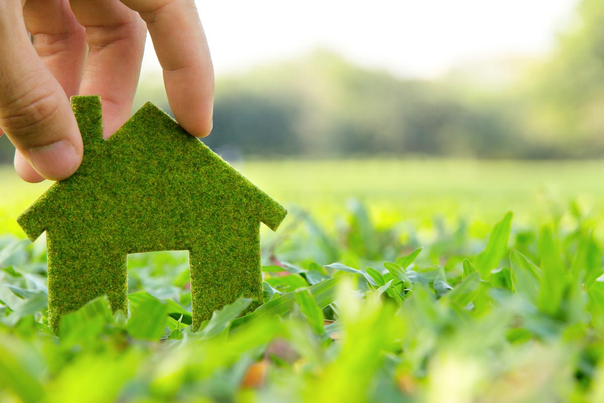 Read more about the article מהי הלוואת זכאות?